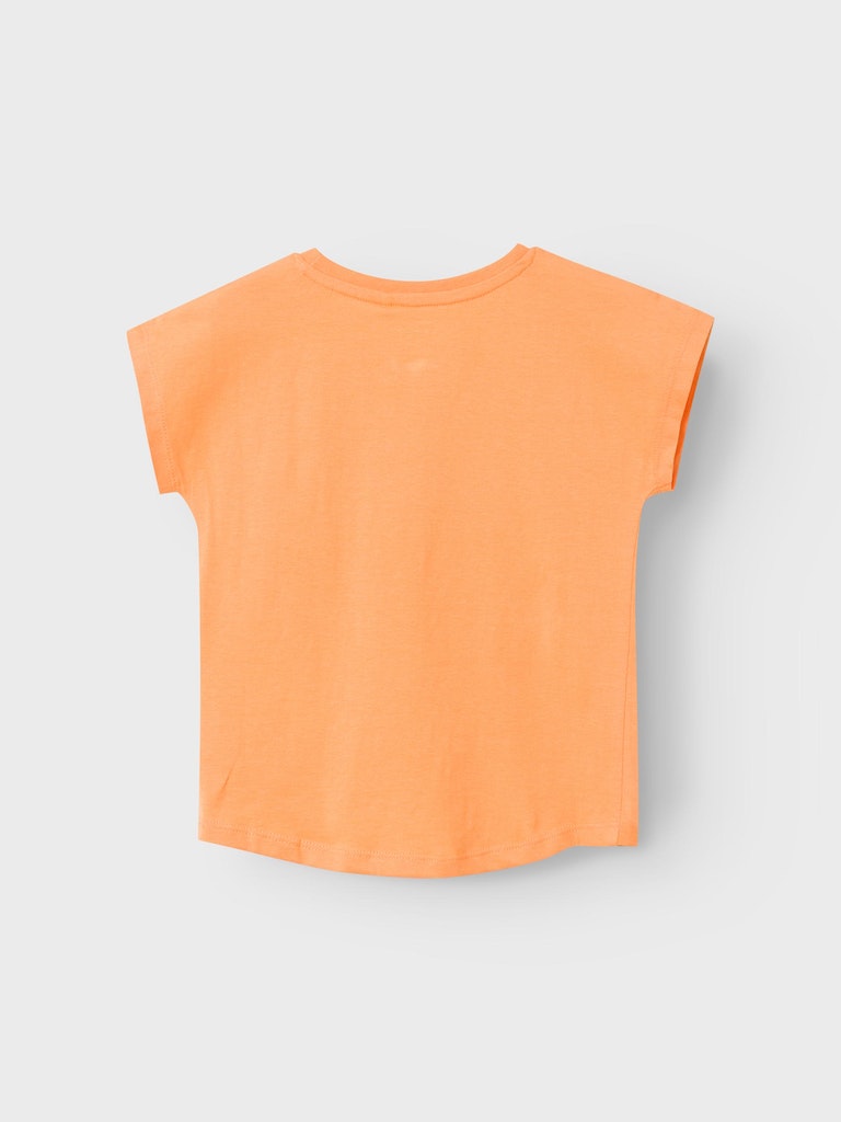 NMFVARUTTI T-Shirt - Mock Orange